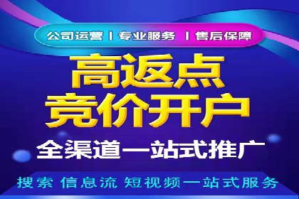 百度推广案例：精准广告投放策略解析